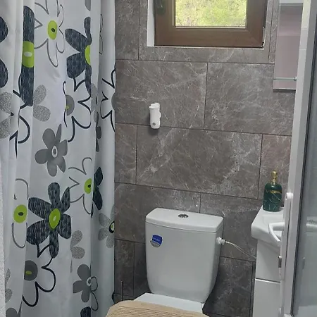 Casa De Vacanta Mira Holiday home Cimpu lui Neag