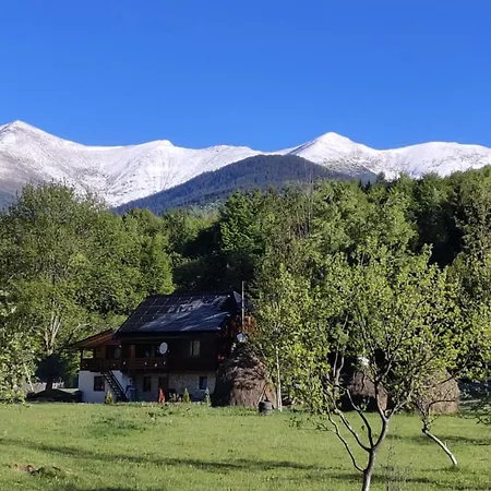 Casa De Vacanta Mira Holiday home *